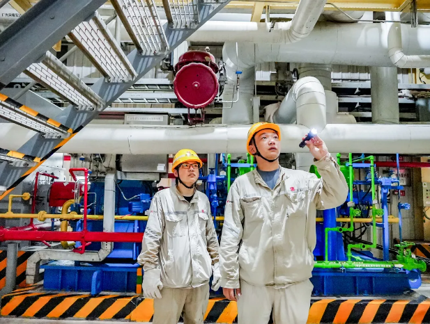 1729058681713079077.png 14.png