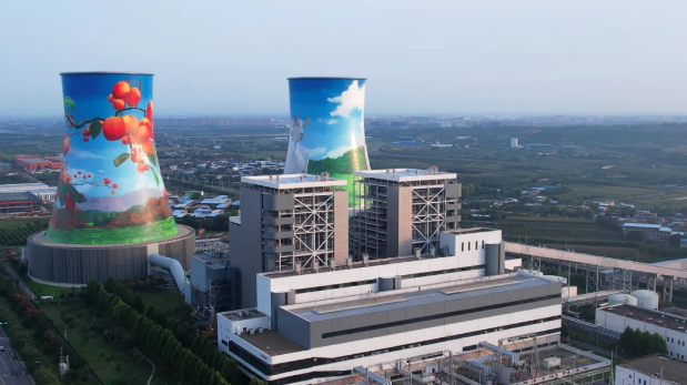 1729129398360080241.png 31.png